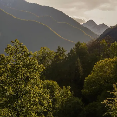 Wild Valley Palm Garden In Valle Onsernone Daire Berzona
