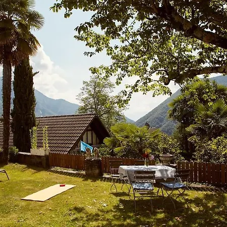 Wild Valley Palm Garden In Valle Onsernone *